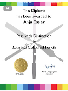 Abschlusszeugnis 🍾🤩